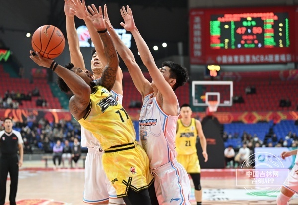 东北虎队主场大胜，豪取连胜