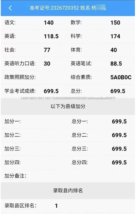 B体育体育直播-匈牙利斩获欧预赛16强资格，成绩惊人