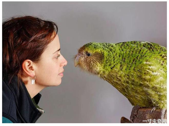 关于力挽狂澜!新西兰女队欧洲挑战赛,挑战挪威的信息 关于力挽狂澜!新西兰女队欧洲挑战赛,挑战挪威的信息